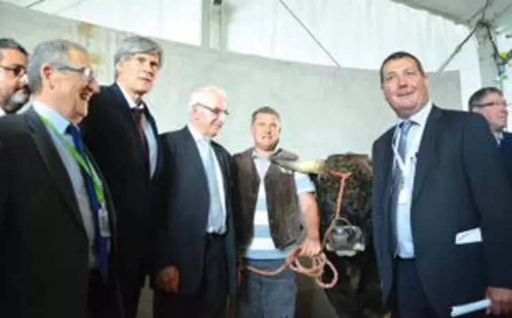 Stéphane Le Foll est allé à la rencontre des éleveurs, notamment ceux de la race aubrac, en concours national, cette année au Sommet.