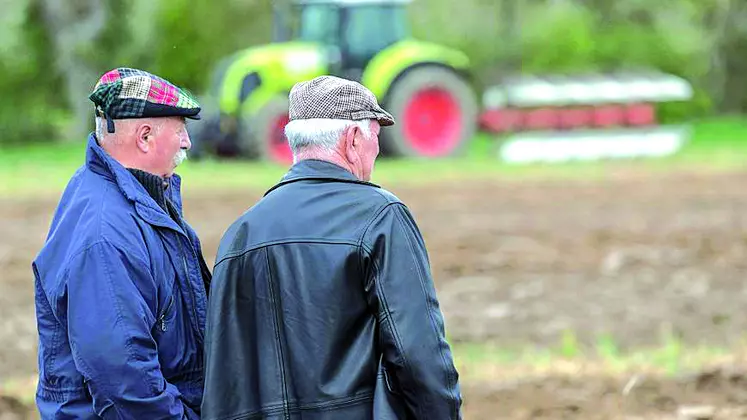 Personnes âgés regardant un champs