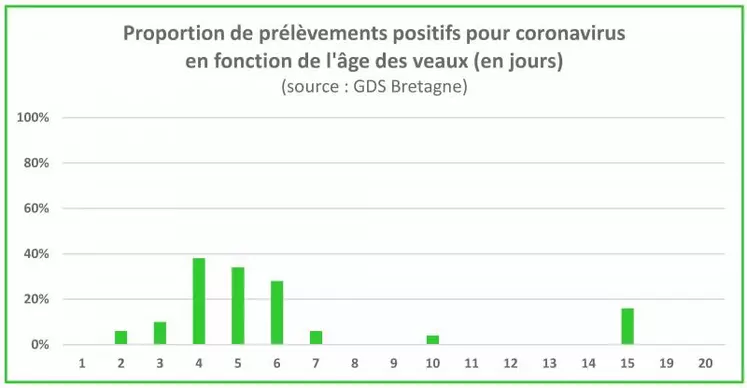 Le coronavirus bovin peut être responsable de diarrhée chez le jeune veau. Transmis par les porteurs sains ou la persistance dans l’environnement (près de 6 mois sur certains supports), le virus impacte particulièrement les veaux de 4 à 6 jours. La désinfection des bâtiments et la vaccination des mères sont les deux mesures à mettre en place pour se prémunir de cette pathologie. Une fois la maladie déclarée, l’isolement rapide des veaux malades permet de limiter les ...