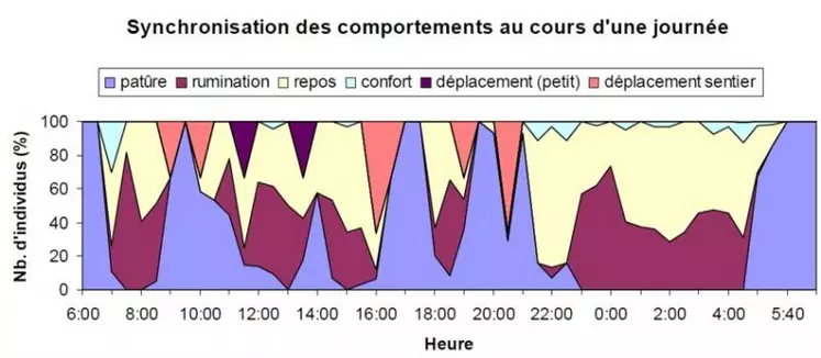 Les bovins sont des animaux grégaires et tous leurs comportements sont liés au troupeau. Ils mangent ensemble, boivent ensemble et dorment ensemble. Cela implique d'avoir des râteliers et des abreuvoirs avec un nombre de places adapté au nombre de bovins présents sur la parcelle.