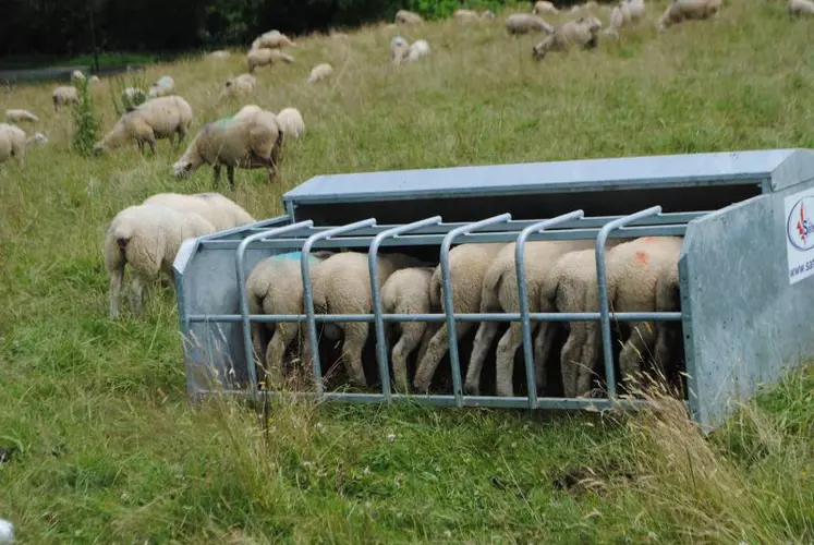 La fréquentation du nourrisseur est liée à la qualité de l’herbe disponible.