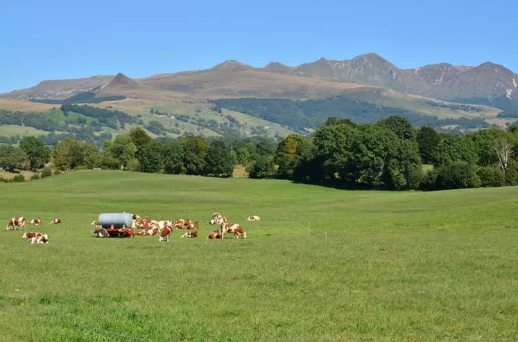 Le Massif central défend le principe d’une aide pour les producteurs laitiers de montagne différenciée.