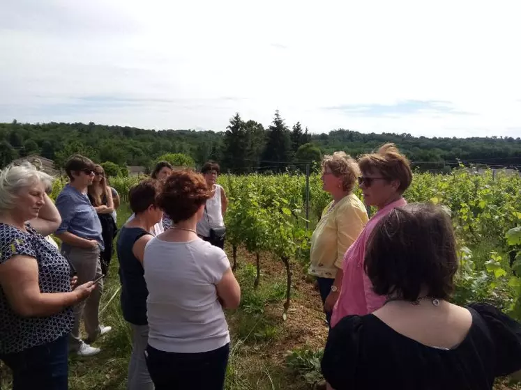 Installée depuis 9 ans avec son frère sur l’exploitation de ses parents, c’est un retour sur les terres familiales pour Danielle Moncla. Sur ses 35 ha de vignes elle produit sous appellation Cadillac coteaux de bordeaux.