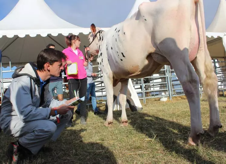 Le Trophée des Massifs rassemble une centaine d’étudiants de la région Auvergne-Rhône-Alpes.