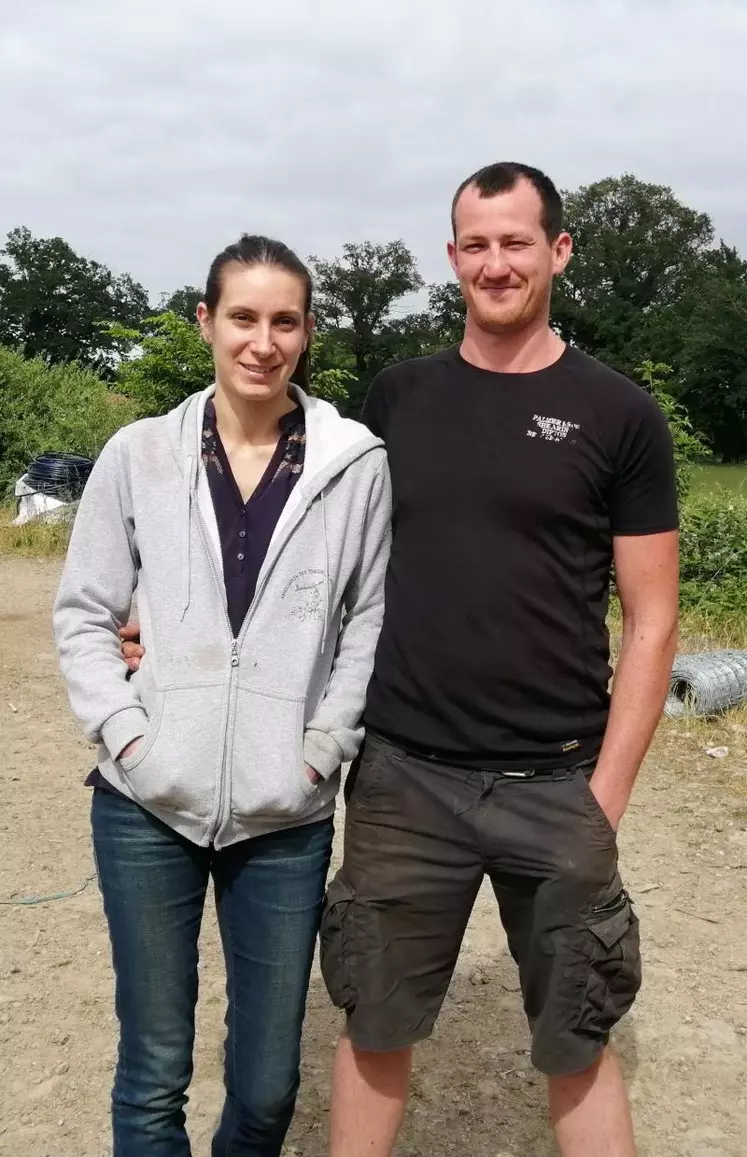 L'une des nombreuses innovations du GAEC des Montagnes est le pâturage tournant dynamique régulé au fil qui leur permet l'engraissement des agneaux exclusivement à l'herbe. Ils effectuent également la plantation de bois d'oeuvre (Paulownia) afin de faire de l'ombre aux animaux. On peut préciser que le GAEC a choisi cette essence d'arbre car elle absorbe dix fois plus de dioxyde de carbone que les autres essences et pousse très rapidement.