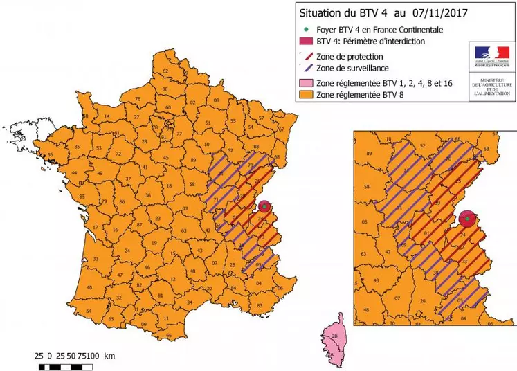 C’est le premier cas de sérotype 4 détecté en France continentale (en Corse, on compte actuellement 193 foyers de sérotype 4). Le sérotype 8 est en revanche largement présent en France continentale depuis 2015. Conformément à la réglementation de l’UE, des zones de restriction, protection et surveillance sont mises en place (respectivement, 20, 100 et 150 km autour du foyer)