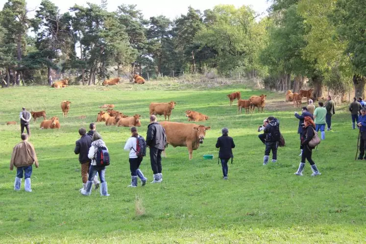 Des visites seront organisés dans deux élevagesdes environs.