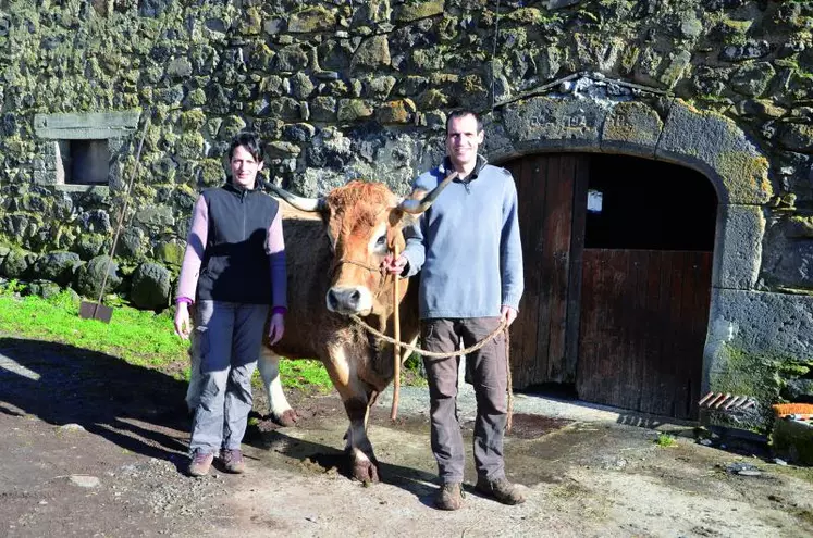 Florence et Thibaut Dijols entourent Haute, égérie du prochain Salon de l’agriculture, du 24 février au 4 mars, lors de l’une des ses premières sorties d’hiver sous le soleil !