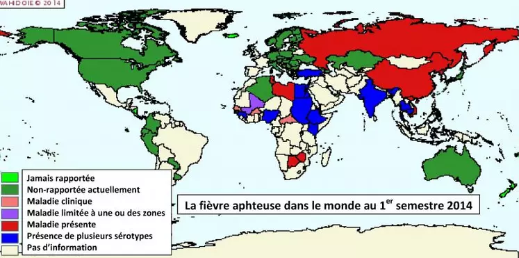 Vue l’évolution de la fièvre aphteuse dans le monde et dans certains pays méditerranéens, notamment l’épisode nord-africain qui n’apparaît que partiellement sur cette carte (Algérie concernée en juillet), la visite sanitaire bovine 2015 sera orientée vers cette maladie.