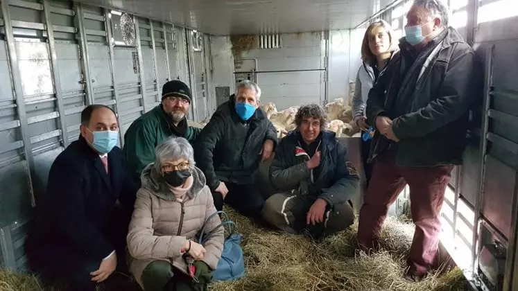 Départ du lot de blanches du Massif central pour l'Arménie en présence de Philippe Meunier, vice-président de la Région délégué aux partenariats internationaux, accompagné de Caroline Guélon, conseillère régionale et de Jean-Luc Chauvel, président de Races Ovines des Massifs - Sélection, entouré de son équipe.