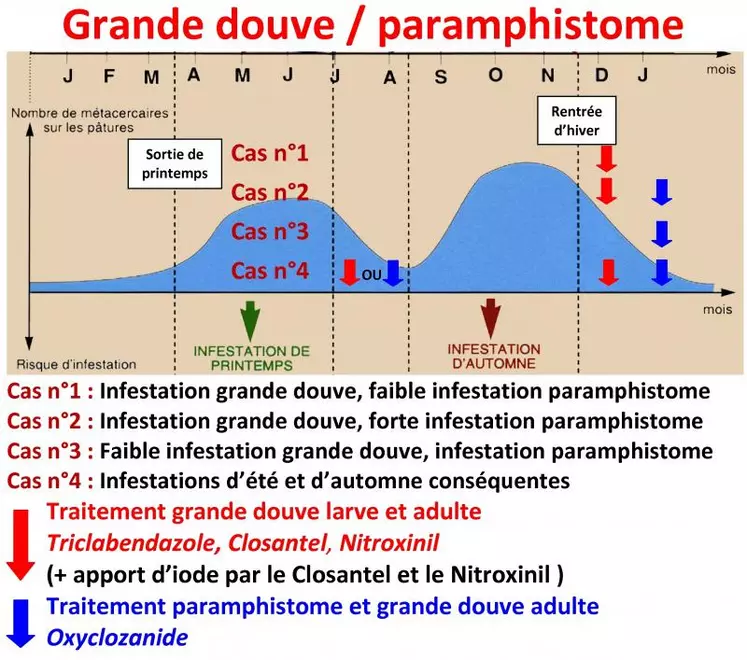 La stratégie de traitement prend en compte :
Le cycle du parasite, les pics d’infestation et leurs niveaux.
Les risques zootechnique et clinique que cela engendre au sein de son élevage.