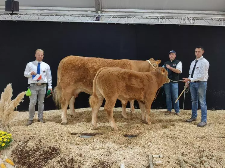 Prix d’honneur femelle adulte : Nimoise au Gaec Camus Père et fils (87)