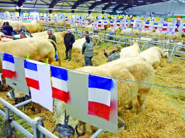 En attendant d’en découdre sur le ring, les Champions des concours de la race charolaise trépignent dans leurs box. Orchestrée par le Herd-Book Charolais (HBC), cette finale nationale rend aussi hommage au travail des éleveurs tout au long de l’année. La finale nationale clôt ainsi la saison des concours reconnus de la race charolaise… Rendez-vous l’année prochaine !