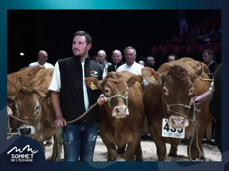 Mathieu Thérond est éleveur de vaches Limousines dans le Cantal. Il a été choisi pour figurer sur l'affiche 2023 du Sommet de l'Elevage en compagnie de Ralph, l'un de ses taureaux.