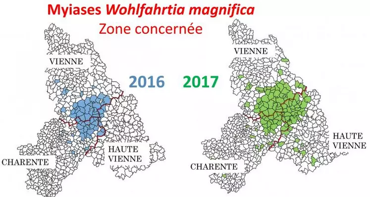 Apparues au début des années 2010 dans la Vienne, les myases à Wohlfahrtia se sont étendues sur les départements de la Haute-Vienne et de la Charente, elles ne sont plus qu’à deux communes de la Creuse.