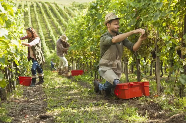 Le travail saisonnier est une véritable valeur ajoutée essentielle pour l’activité et l’attractivité de certaines filières agricoles.