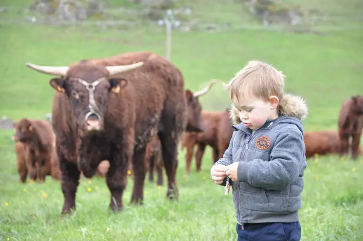 Les Rencontres Made in viande ambitionnent de toucher un public familial.