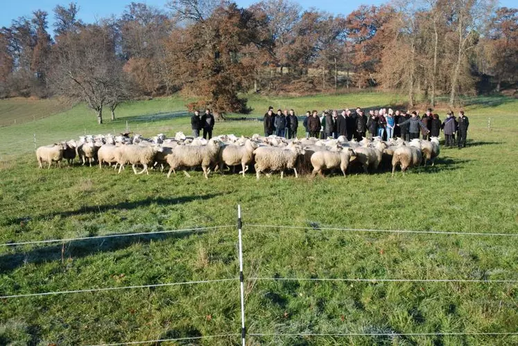 La délégation a pu visiter les différents ateliers développés sur le site du Mourier
avant d’inaugurer la dernière installation : une salle de tonte.