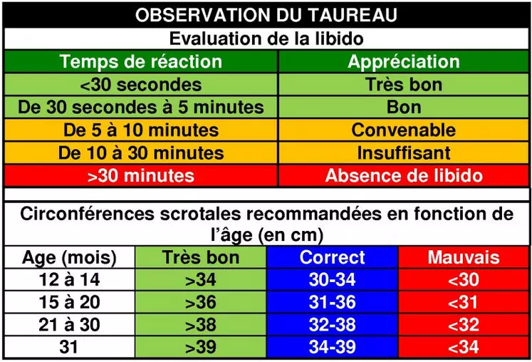 L’observation du taureau concerne l’état général (note état, appareil locomoteur, « masculinité »), le comportement sexuel (évaluation libido), l’examen de l’appareil génital et, en dernière étape, l’examen du sperme.