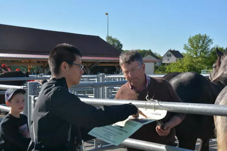 Monsieur Tachibana recherchait des chevaux pour la boucherie. Au Japon la viande de cheval est un mets de choix consommé en sushis.