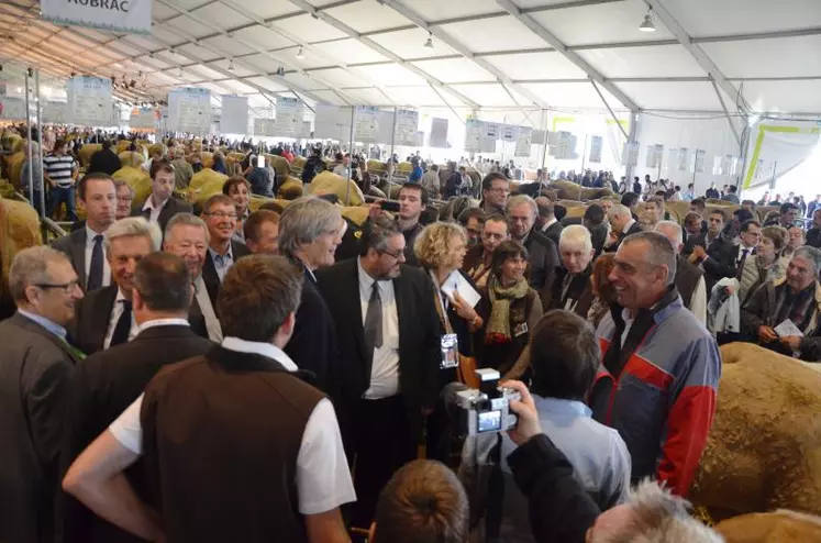 Stéphane Le Foll est allé à la rencontre des éleveurs, notamment ceux de la race aubrac, en concours national, cette année au Sommet.