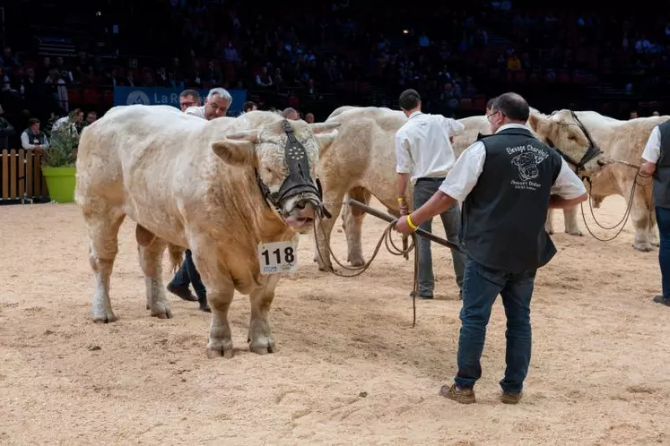 Le concours national charolais sera organisé au Zénith.