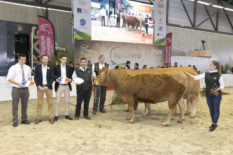 Loriot, à M. Sébastien Dumignard, a obtenu le prix du meilleur mâle à fort développement musculaire.