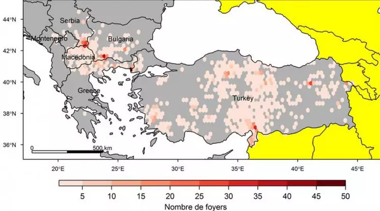 La DNCB a été détectée pour la première fois en Turquie en novembre 2013. Elle s’est ensuite étendue à l’Europe : dans la partie européenne de la Turquie en mai 2015, puis dans les Balkans. Au 31 juillet 2016, elle touchait la Grèce, la Bulgarie, la Macédoine, le Monténégro, l’Albanie et la Serbie, avec 747 foyers notifiés (source base de données européenne Animal Disease Notification System (ADNS)).