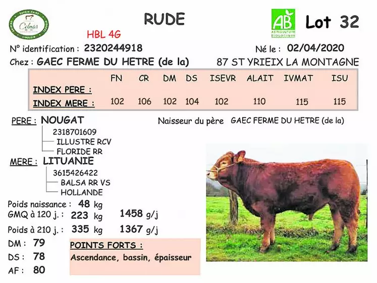 Fiche de Rude, top price de la vente de printemps 2021 de la Celmar.