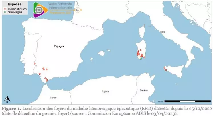 Situation de la dermatose nodulaire contagieuse des bovins ou la maladie hémorragique épizootique du cerf au 3 avril 2023.