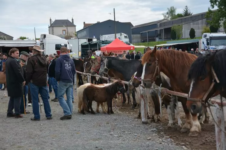 Tous les gabarits étaient représentés lors de cette foire de printemps.