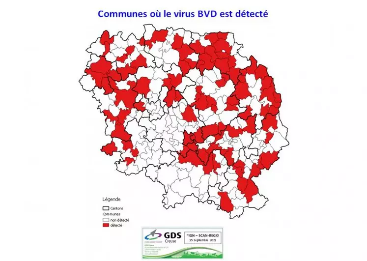 La BVD est présente sur le territoire départemental, avec une diffusion par voisinage importante. Cela appelle à rester très vigilant.