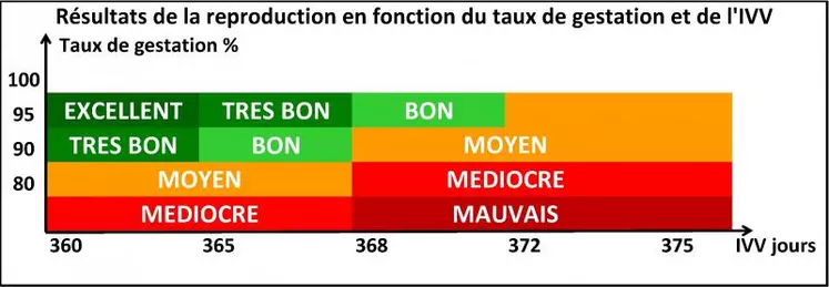 Une première approche des chiffres disponibles dans chaque élevage en matière de fécondité et de fertilité permet de situer son troupeau et de déterminer les éventuelles marges de progression, souvent présentes mais méconnues.