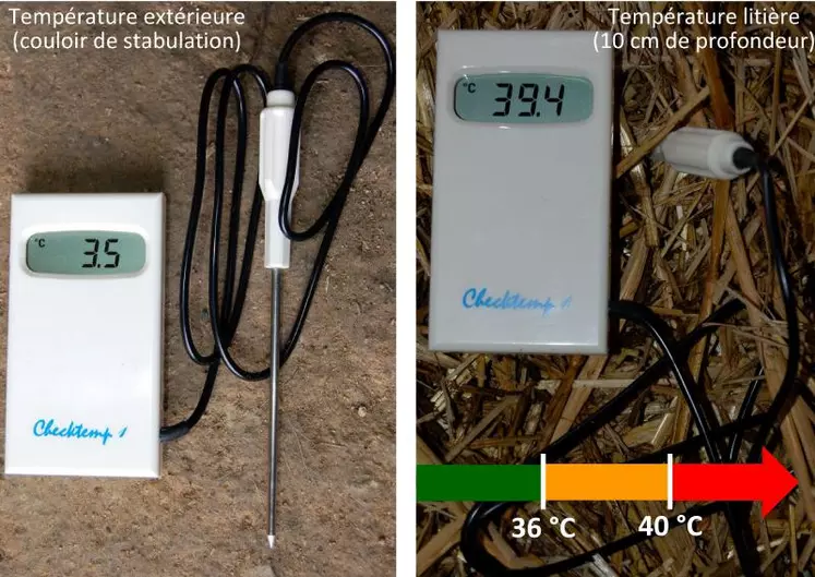 La litière accélère la dynamique de contamination lorsque la température de la litière à 10 cm de profondeur excède 36 °C (thermomètre à sonde disponible à Farago Creuse). Le fumier est donc à retirer lorsque la température interne de la litière atteint ou dépasse 36 °C. Ici, la prise de température montre 3,5 °C dans le couloir… et 39,4 °C dans la litière à 10 cm de profondeur, l’enlèvement du fumier est donc à effectuer !