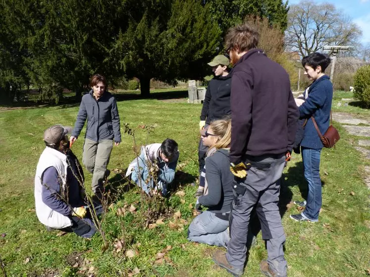 Au CFPPA des Vaseix, les visiteurs ont pu découvrir les multiples aspects des métiers du paysage.