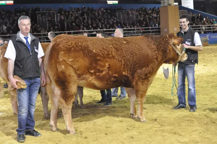 Le Gaec Lagautrière Élevage 23, de Villard (23), a remporté le 1er prix de la 1re section «Femelles» avec la génisse Hanna.