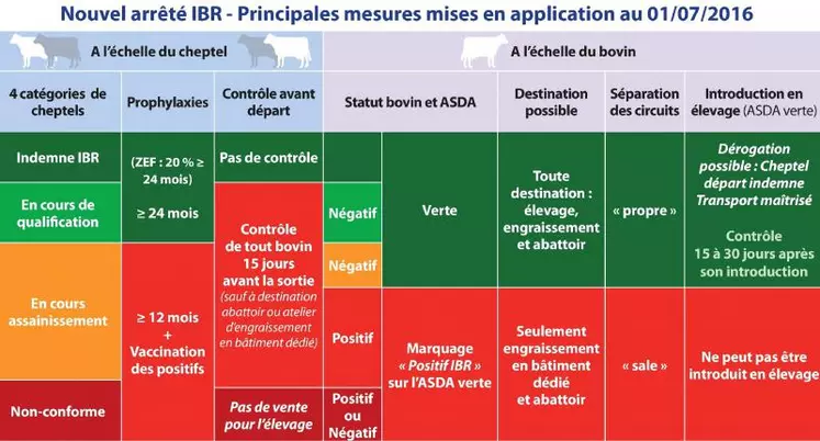 Le nouvel arrêté ministériel IBR renforce l’assainissement des troupeaux avec des restrictions à la circulation des bovins reconnus infectés. Chacun est dorénavant concerné, notamment les élevages non-indemnes d’IBR (moins de 5 % des cheptels en Creuse) pour lesquels les mesures vont être beaucoup plus draconiennes.