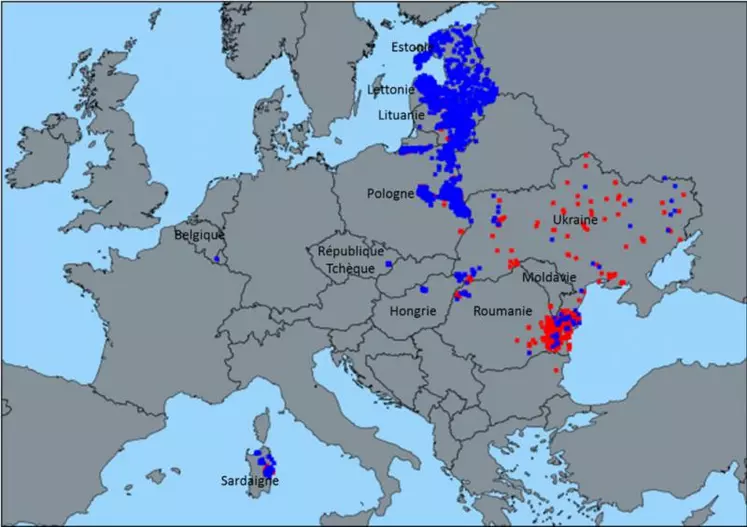 Foyers domestiques (en rouge) et cas sauvages (en bleu) de PPA confirmés en Europe du 01/01/2018 au 17/09/2018 (source ADNS au 18/09/2018)