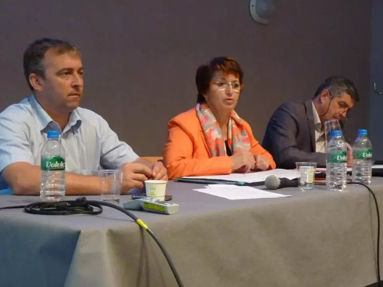 La conférence de presse de la FNSEA au Sommet de l'élevage a été assurée par Patrick Bénézit, président de la FRSEA Massif central, Christiane Lambert, 1re vice présidente de la FNSEA, et Dominique Barrau, secrétaire général de la FNSEA.