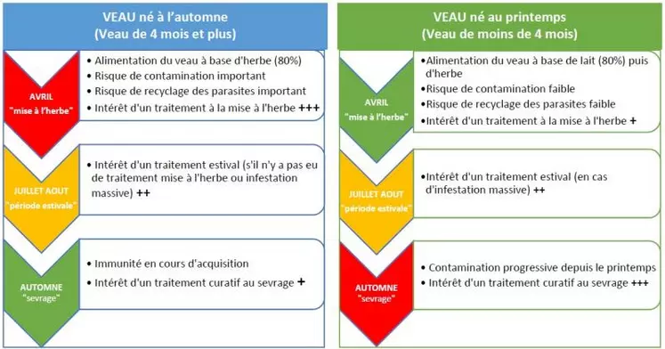 Trois possibilités de traitement peuvent être mises en place : préventif, préventif – curatif ou curatif. Plusieurs critères vont permettre de choisir sa stratégie mais le principal reste la période de naissance des veaux. Dans tous les cas, un examen clinique régulier des animaux permet d’évaluer voire de corriger le protocole de traitement initialement prévu en intégrant la notion de mise en place de l’immunité pour les futurs reproducteurs.