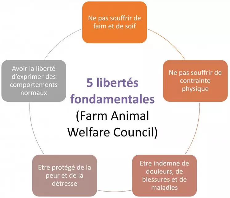 Les conditions de bientraitance des animaux s’appuient sur cinq libertés fondamentales. Elles sont un moyen pour arriver au bien-être animal. En fonction des connaissances scientifiques récentes, l’ANSES a proposé une nouvelle définition du bien-être animal : « État mental et physique positif lié à la satisfaction de ses besoins physiologiques et comportementaux, ainsi que de ses attentes. Cet état varie en fonction de la perception de la situation de l’animal ».