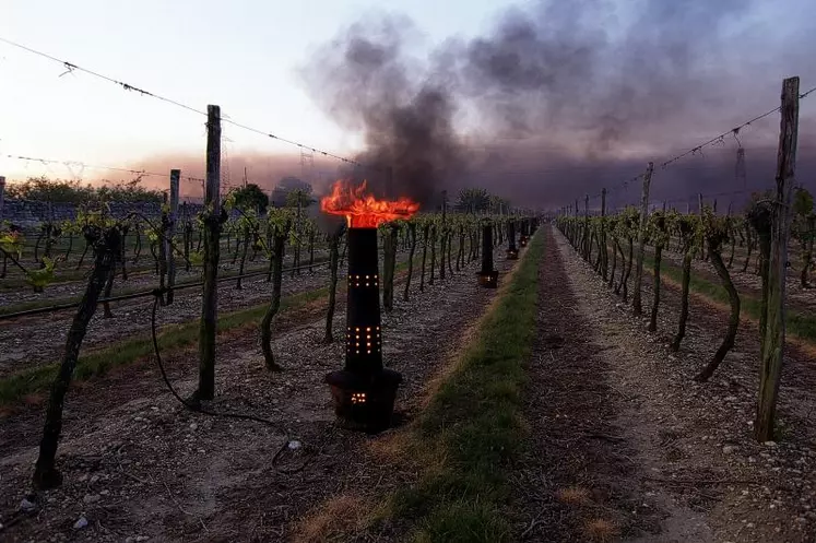 Des bougies dans les vignes pour contrer le gel.