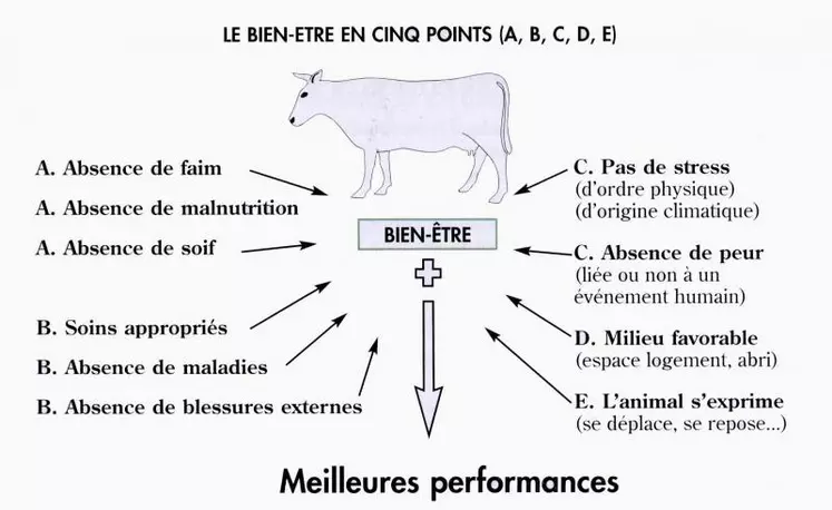 Pour un éleveur, rechercher le bien-être animal répond à un double objectif : d’une part, les performances et la rentabilité sont meilleures et, d’autre part, voir ses animaux entretenus dans de bonnes conditions contribue à son propre bien-être, c’est une des valeurs de son métier d’éleveur.