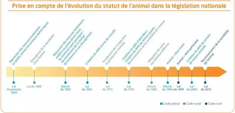 L’évolution du statut de l’animal se retrouve dans la modification de la réglementation entre la fin du XIXe siècle et le début du XXIe siècle.