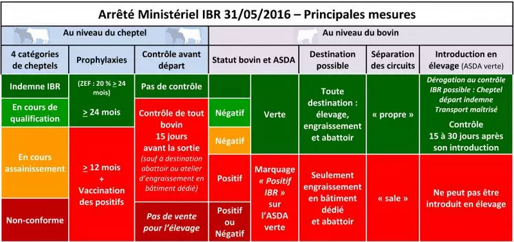 L’arrêté ministériel IBR a renforcé l’assainissement des troupeaux avec des restrictions à la circulation des bovins positifs et des contrôles pour les bovins issus de cheptels n’ayant pas le statut « indemne d’IBR » (moins de 2 % des cheptels en Creuse).