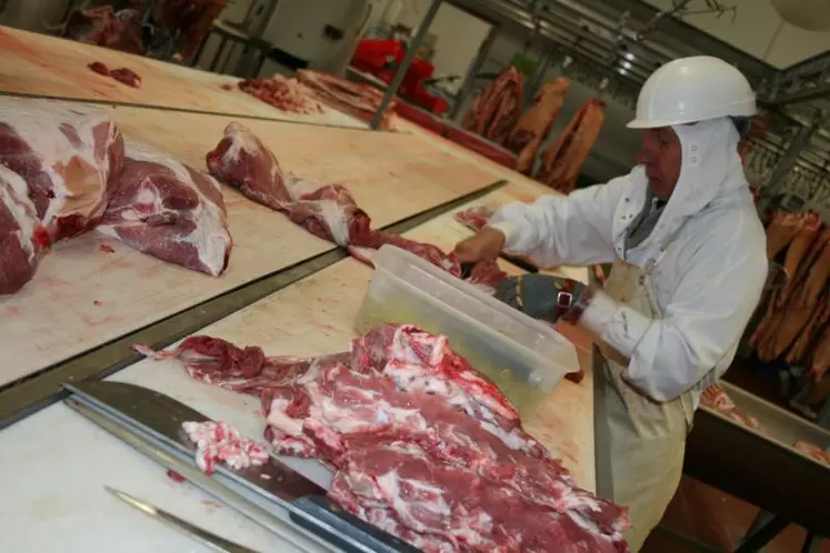 Dans le Massif central, la production porcine est un important pourvoyeur d’activité pour les abattoirs.