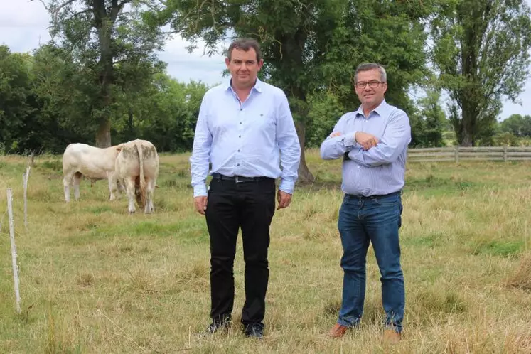 Pascal Langevin, président du Herd Book Charolais et Hugues Pichard, président de Charolais France, à la Ferme du Marault.