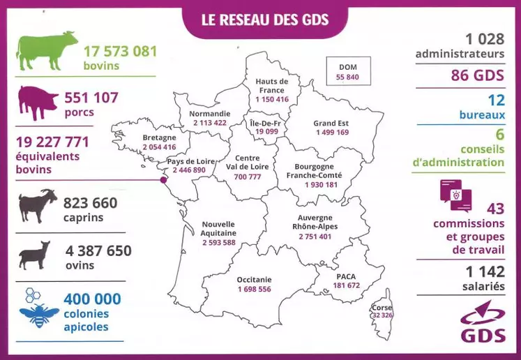 Le réseau des GDS s'articule autour de 3 structures, généralement associatives, agissant de manière complémentaire. Les GDS départementaux ou interdépartementaux apportent la proximité avec les éleveurs et les acteurs publics et professionnels locaux et la réalisation concrète des actions sanitaires. Les Fédérations Régionales mettent en commun les moyens mutualisables, portent l'OVS, sont les interlocutrices des services décentralisés de l'État, les DRAAF via les SRAL.