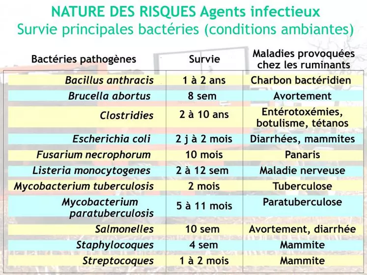 Ce tableau indique les principales bactéries responsables de maladies des ruminants susceptibles d’être accumulées dans les effluents d’élevage. À l’exception des formes sporulées, la durée des risques engendrés va de quelques jours à quelques mois. Mais si la relative brièveté de la survie des bactéries minimise les risques avec le temps, le fait qu’elles soient capables de provoquer des maladies chez l’homme (zoonoses) nécessite une prudence soutenue.