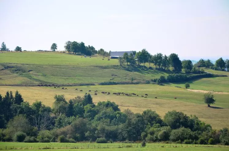 La succession d’épisodes climatiques extrêmes va nécessairement modifier les parcours agronomiques.